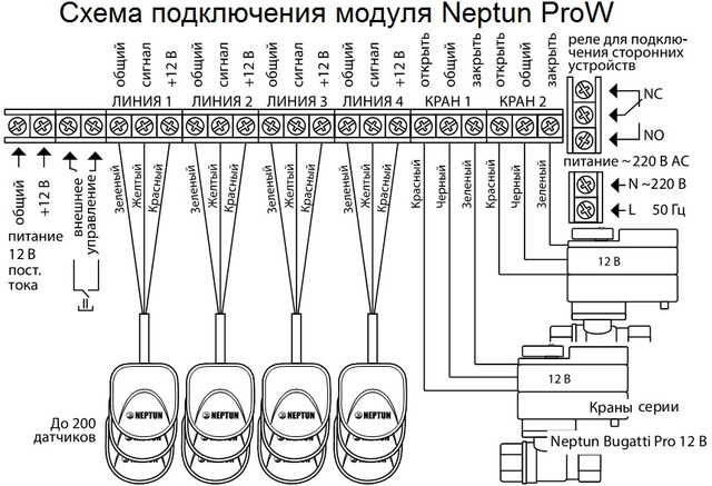  Neptun Prow -  10